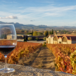 Viñedos DO Cariñena otoño copa vino tinto — Restaurante Casa Agustín