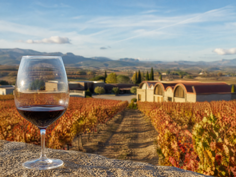 Viñedos DO Cariñena otoño copa vino tinto — Restaurante Casa Agustín