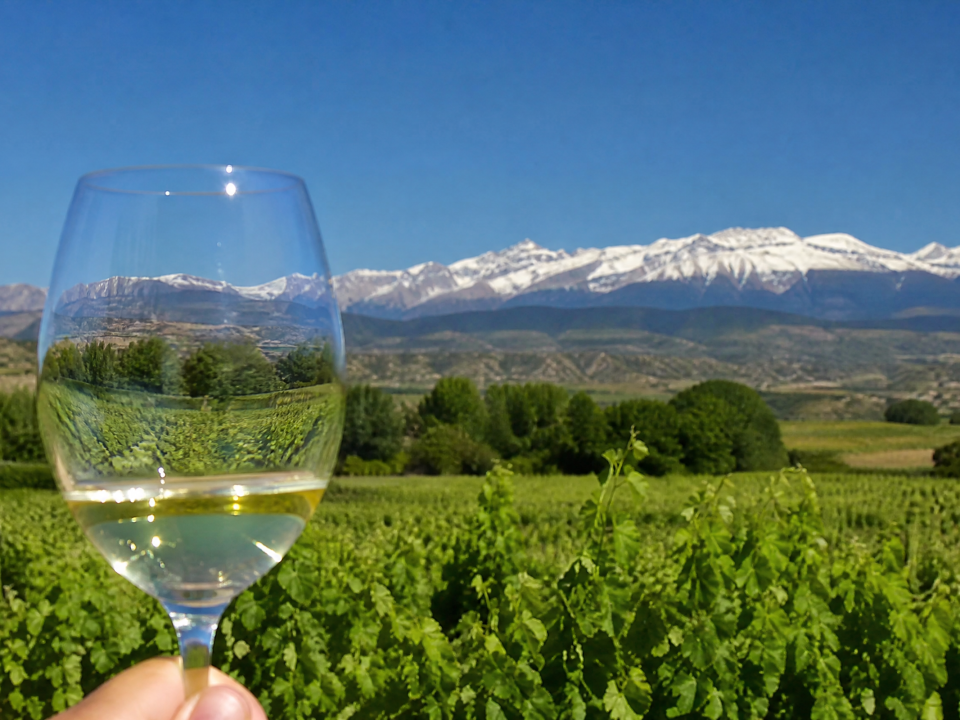 Viñedos Somontano Pirineo copa vino blanco — Restaurante Casa Agustín